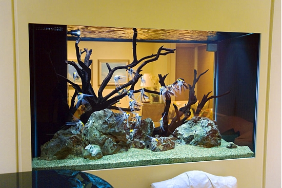 Aquarium-ideas-for-homes-and-offices