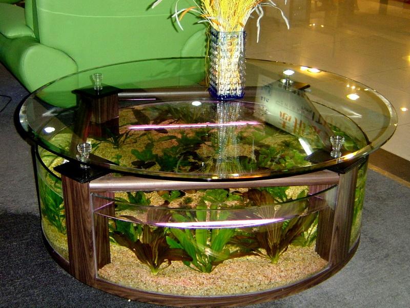 Round-Coffee-Table-Fish-Tank-Decorations-Ideas